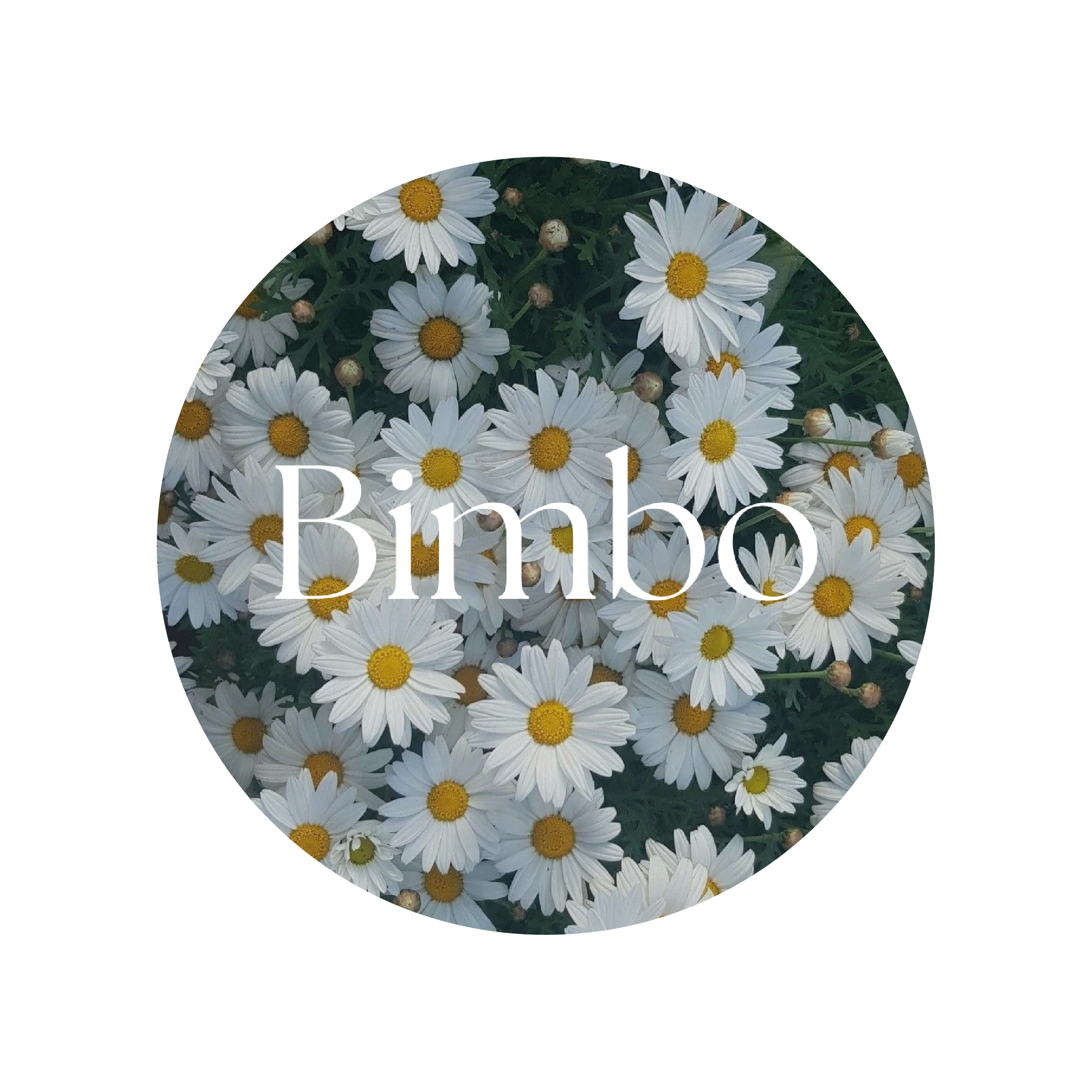 Primavera Estate BAMBINO