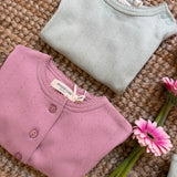 Orange Tulip T-shirt 23TSHATB