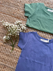 Orange Tulip T-shirt 23TSHATB