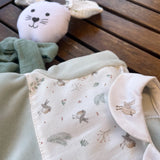 Newborn chenille sage birds onesie DBI24112