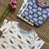 T-shirt mezza manica tartarughe Pigeon 26SHOSA