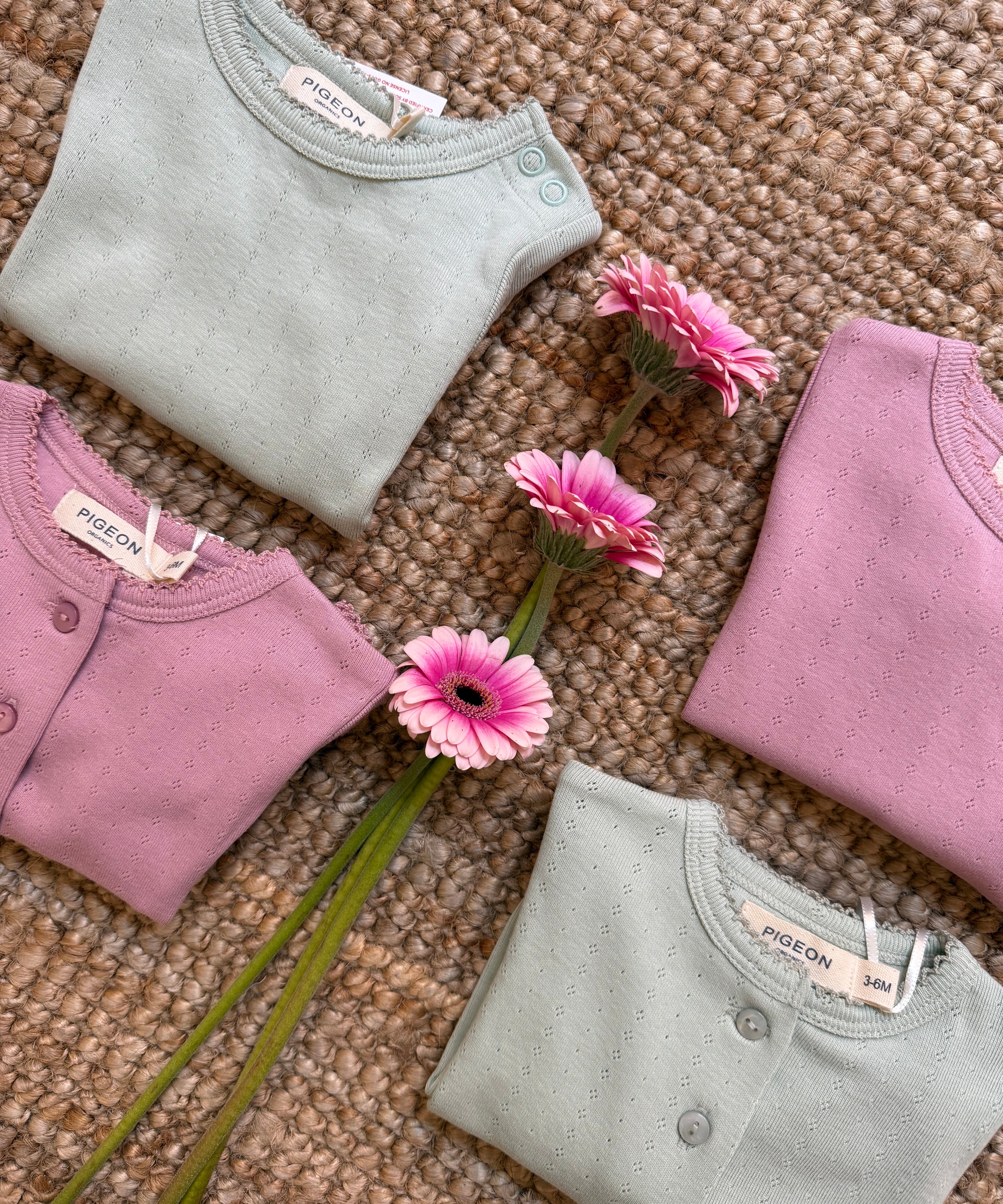 Cardigan lavorazione pointelle verde salvia Pigeon 26POIC