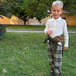 Immagine diapositiva
