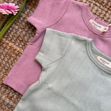 Orange Tulip T-shirt 23TSHATB