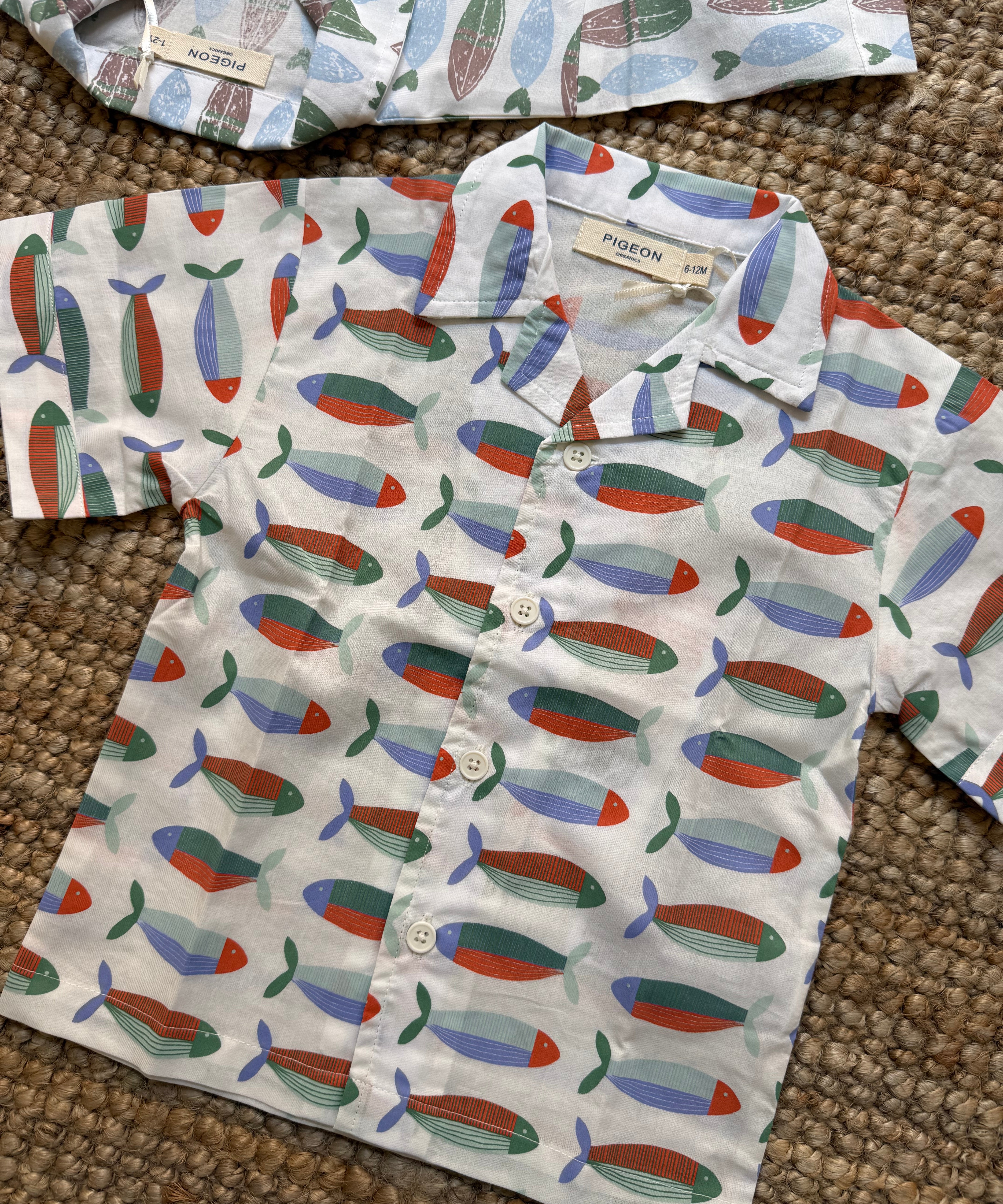 Camicia sardine Pigeon 26EASSSA
