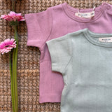 Orange Tulip T-shirt 23TSHATB