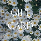 Gift Card LANUVOLALAB